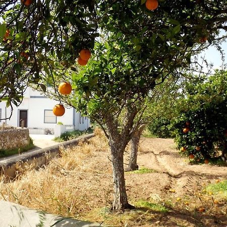 Вилла Casas Do Pomar Лагуш Номер фото