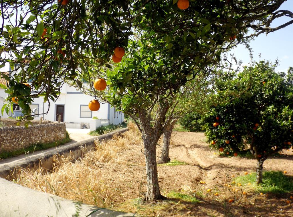 Вилла Casas Do Pomar Лагуш Номер фото